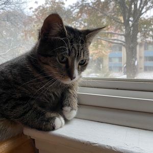 Meet your Posher, Connor